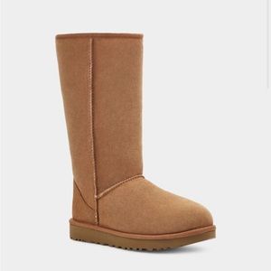 Uggs - tall, chestnut